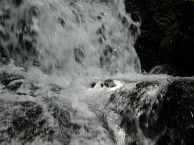 Hawaiian Village Waterfall