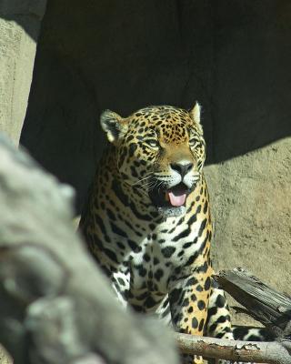 CRW_0142.jpg