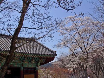 NaesosaTemple