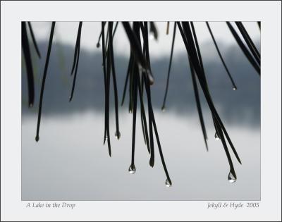 A Lake in the Drop