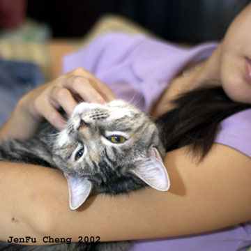 DSC_0019-small.jpg