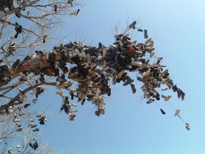 Closeup of the shoe tree ... there must be 1000 pairs in that tree.