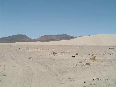 This is real desert!