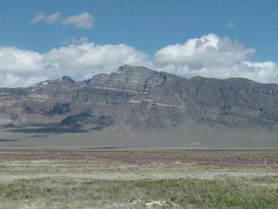 Nice mountain view with desert flowers in bloom.