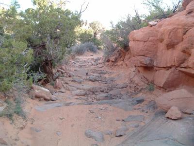 A rocky section of trail.