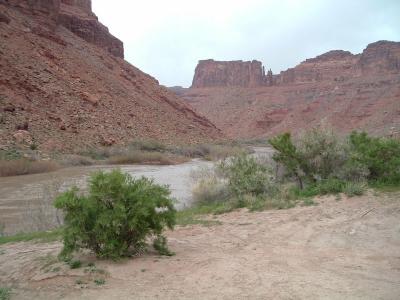 Colorado river view