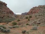 DSCF1690.JPG