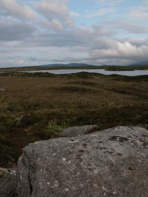 Fermoyle, Co Galway (DSCN0140.jpg)