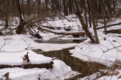 Flowing through the snow