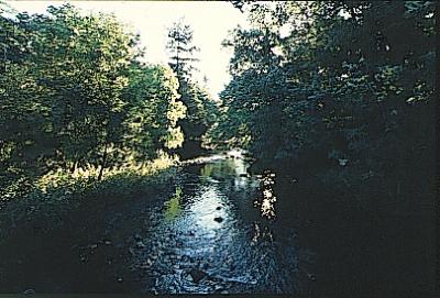 Lake District 2001