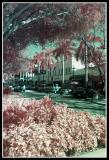 ir-01-0015.jpg