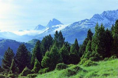 Ossau depuis El Pazino