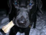 Java on Jan 26 2005.jpg