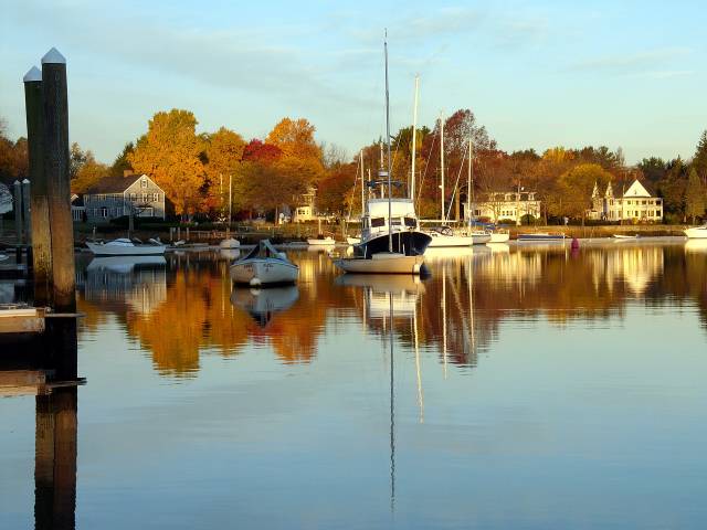 Nov 4 Matthewson Lane.jpg