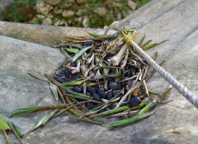 Dead boat