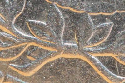 lower center crop