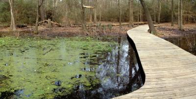 Memorial Park Trail