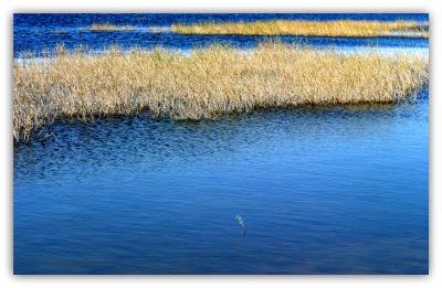 el rio ponds