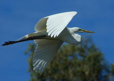DSC_5775D.jpg