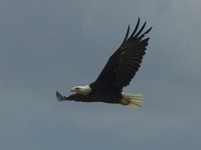 DSC_0209.jpg