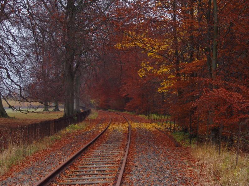 Leaves on the line