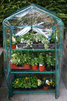 u17/johnnyjag/medium/42377339.Mandysgreenhouse.jpg