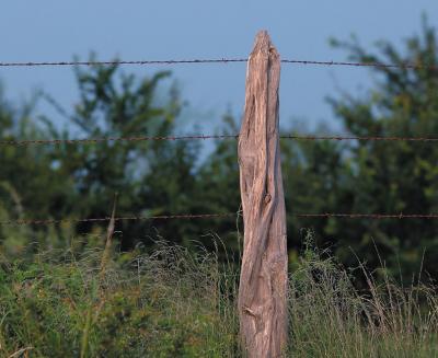 Spire-Post