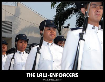 The Law-Enforcers