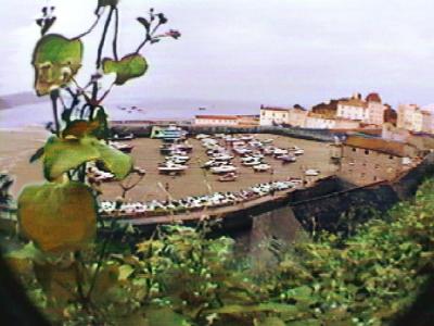 Tenby harbor tideout