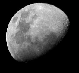 u17/kelvinphoto/upload/42287183.CRW_5487.jpg