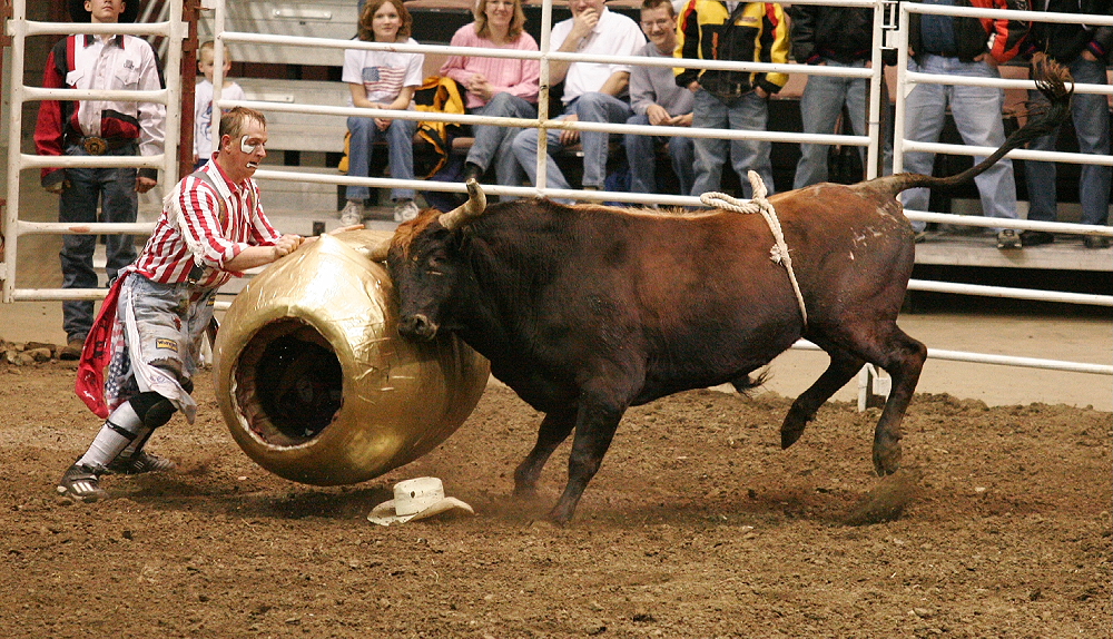 _MG_7846.JPG