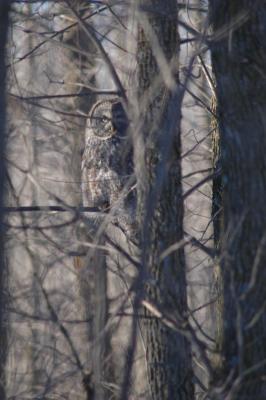 DSC_4251P.jpg
