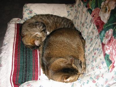Two brothers