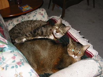 Will you stop with that flash????