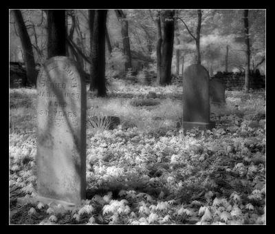 graves3271.jpg