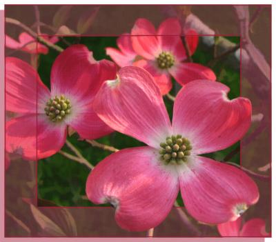 Hurray For Spring Too