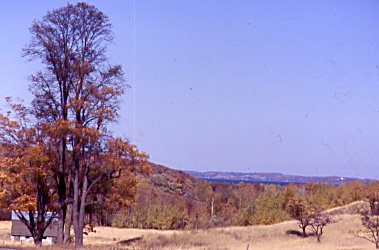 A View.jpg