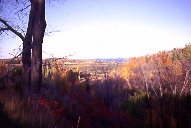 Another View.jpg