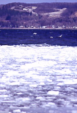 IcyWaters.jpg