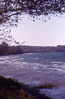 WhiteCaps-67.jpg