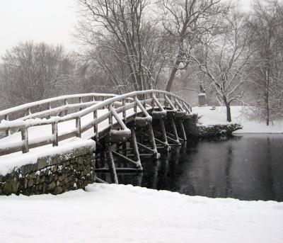 Snowy Day In Concord