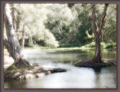 A Quiet Little Creek