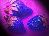 Psychedelic Strawberries