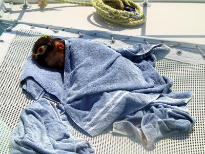 Leah Sleeping on Deck (13903)