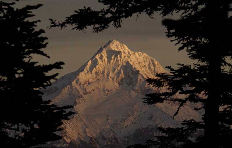 Mt. Hood Sunset