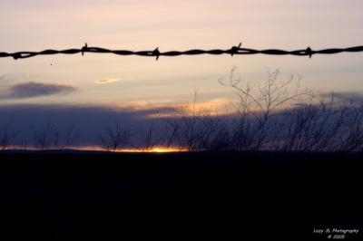 Barb Wire Sunset