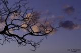 Sunset Reflection