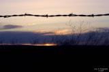 Barb Wire Sunset