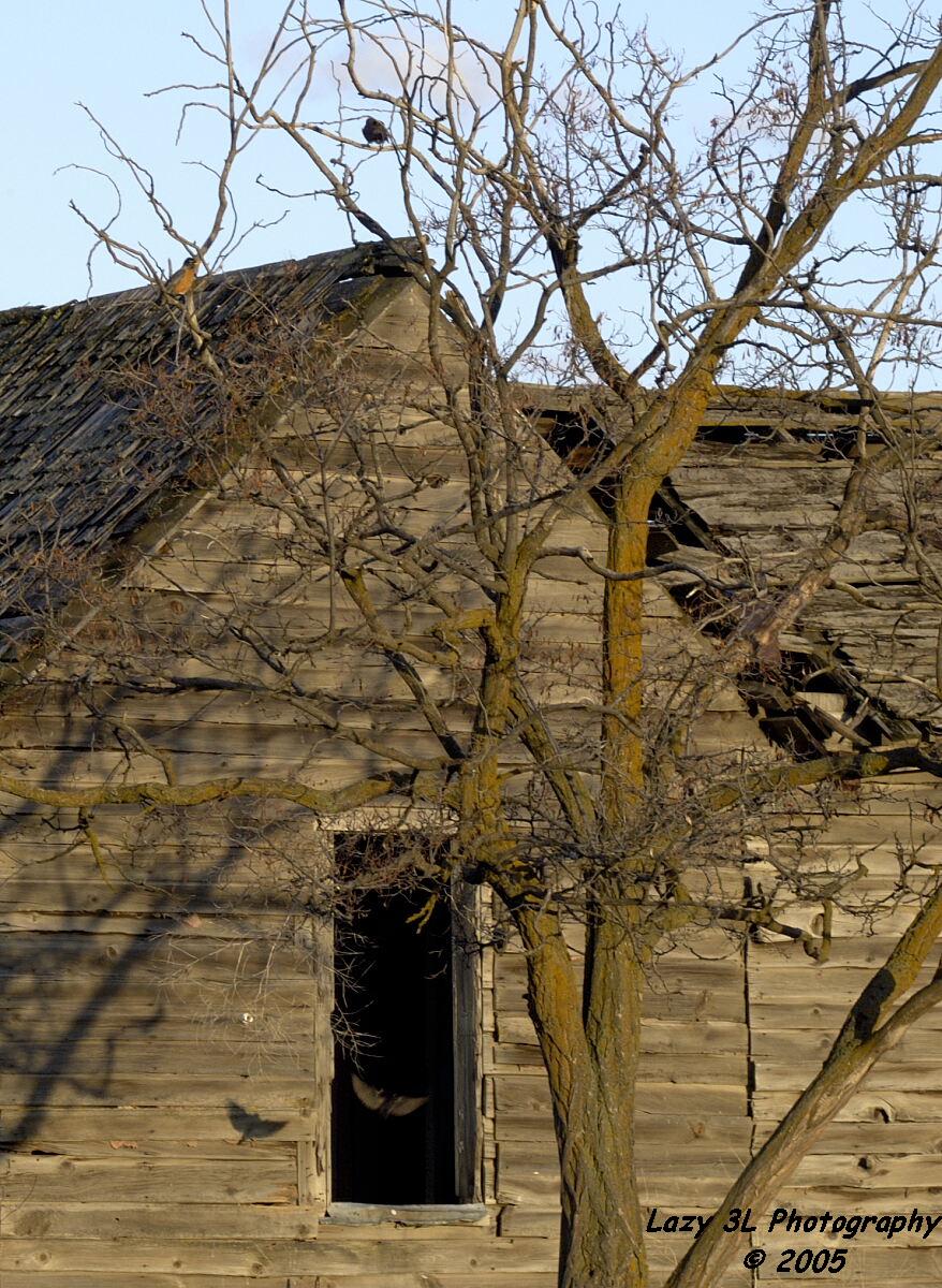 Hostettler House