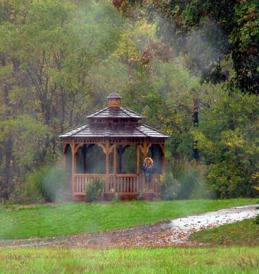 gazebo in the rain